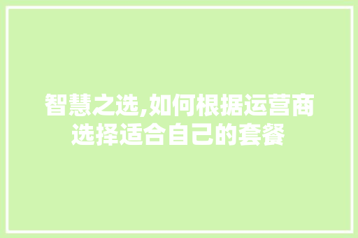 智慧之选,如何根据运营商选择适合自己的套餐