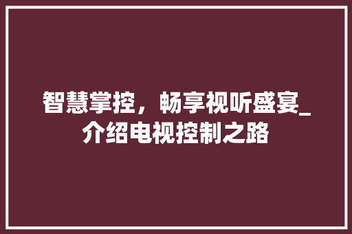 智慧掌控，畅享视听盛宴_介绍电视控制之路