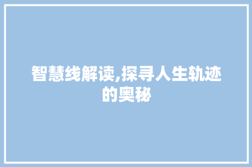 智慧线解读,探寻人生轨迹的奥秘