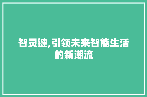 智灵键,引领未来智能生活的新潮流 智灵键,引领未来智能生活的新潮流