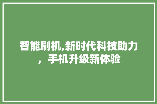 智能刷机,新时代科技助力,手机升级新体验 智能刷机,新时代科技助力,手机升级新体验