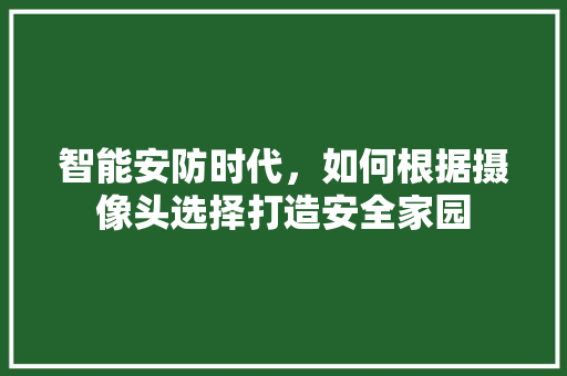 智能安防时代,如何根据摄像头选择打造安全家园 智能安防时代,如何根据摄像头选择打造安全家园