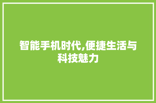 智能手机时代,便捷生活与科技魅力
