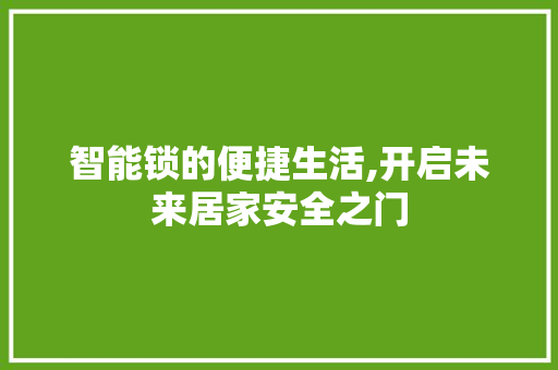 智能锁的便捷生活,开启未来居家安全之门