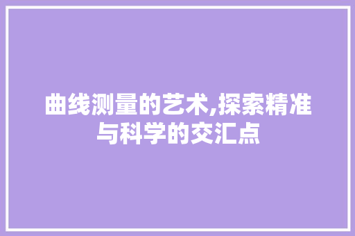 曲线测量的艺术,探索精准与科学的交汇点
