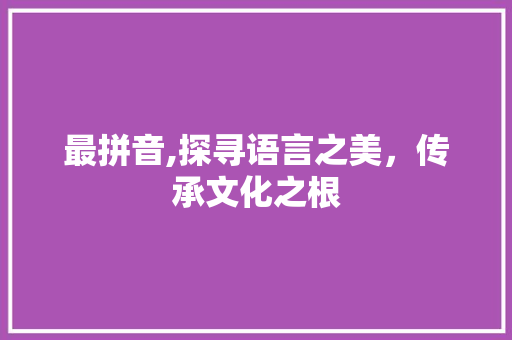 最拼音,探寻语言之美，传承文化之根