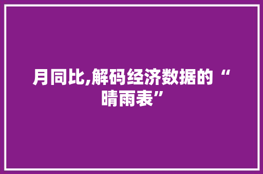 月同比,解码经济数据的“晴雨表”