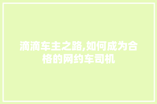滴滴车主之路,如何成为合格的网约车司机 网络技术