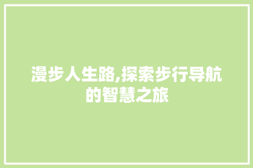 漫步人生路,探索步行导航的智慧之旅