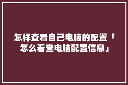 怎样查看自己电脑的配置「怎么看查电脑配置信息」 怎样查看自己电脑的配置「怎么看查电脑配置信息」 电脑配置