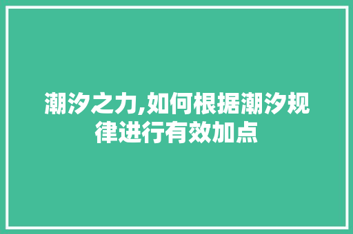 潮汐之力,如何根据潮汐规律进行有效加点 网络技术