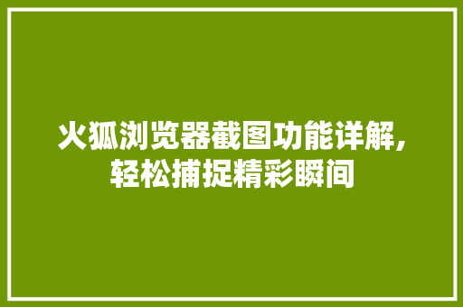 火狐浏览器截图功能详解,轻松捕捉精彩瞬间 电脑故障维修