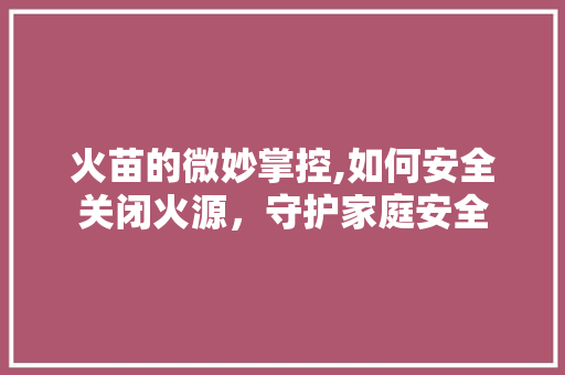 火苗的微妙掌控,如何安全关闭火源，守护家庭安全 网络技术