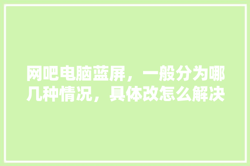 网吧电脑蓝屏，一般分为哪几种情况，具体改怎么解决，求知识「网吧电脑基础知识有哪些」