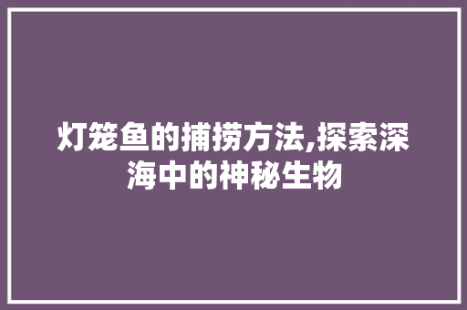 灯笼鱼的捕捞方法,探索深海中的神秘生物 网络技术