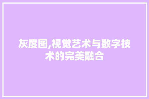 灰度图,视觉艺术与数字技术的完美融合 网络技术