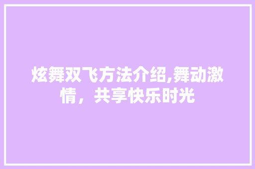 炫舞双飞方法介绍,舞动激情，共享快乐时光 操作系统