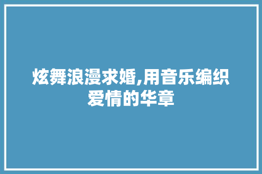 炫舞浪漫求婚,用音乐编织爱情的华章 网络技术