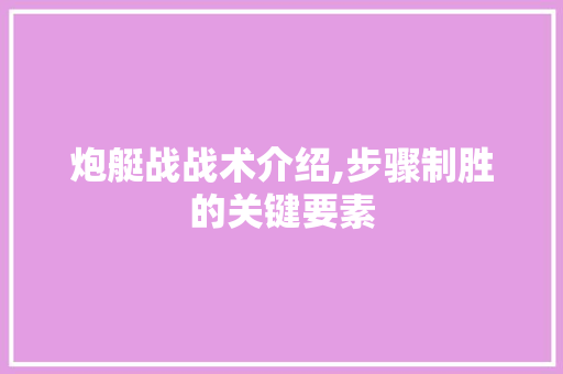 炮艇战战术介绍,步骤制胜的关键要素 电脑基础 炮艇战战术介绍,步骤制胜的关键要素 电脑基础