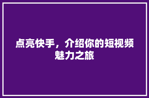 点亮快手，介绍你的短视频魅力之旅 网络技术
