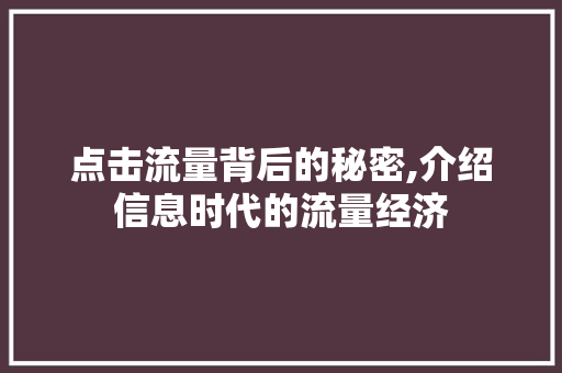 点击流量背后的秘密,介绍信息时代的流量经济 操作系统
