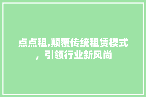 点点租,颠覆传统租赁模式，引领行业新风尚 操作系统
