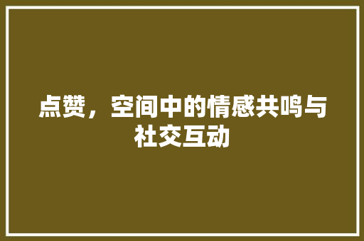 点赞，空间中的情感共鸣与社交互动 电脑基础