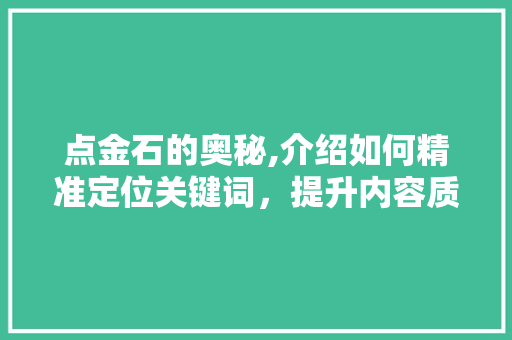 点金石的奥秘,介绍如何精准定位关键词，提升内容质量 电脑故障维修