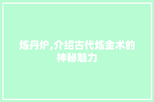 炼丹炉,介绍古代炼金术的神秘魅力 编程语言 炼丹炉,介绍古代炼金术的神秘魅力 编程语言