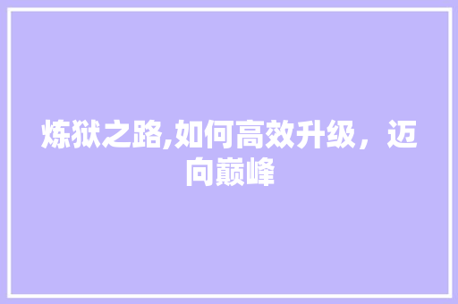 炼狱之路,如何高效升级，迈向巅峰 编程语言