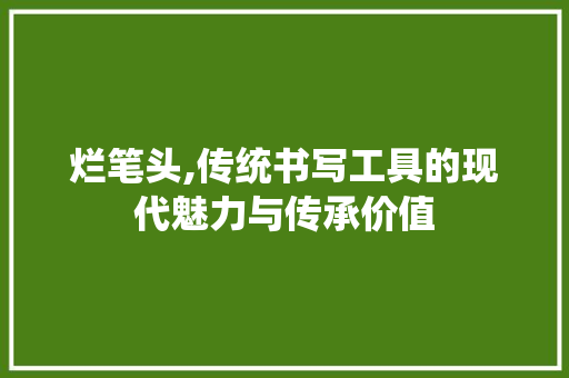 烂笔头,传统书写工具的现代魅力与传承价值 电脑故障维修 烂笔头,传统书写工具的现代魅力与传承价值 电脑故障维修