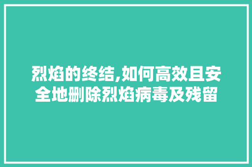 烈焰的终结,如何高效且安全地删除烈焰病毒及残留 电脑基础 烈焰的终结,如何高效且安全地删除烈焰病毒及残留 电脑基础