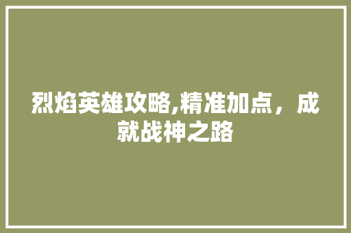 烈焰英雄攻略,精准加点，成就战神之路 操作系统