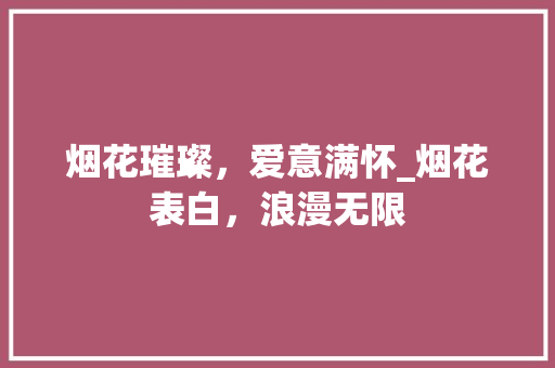 烟花璀璨，爱意满怀_烟花表白，浪漫无限 编程语言