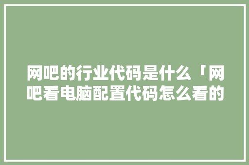 网吧的行业代码是什么「网吧看电脑配置代码怎么看的」
