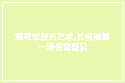 烟花绽放的艺术,如何拍摄一场视觉盛宴 操作系统