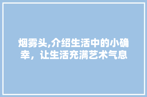 烟雾头,介绍生活中的小确幸，让生活充满艺术气息 电脑基础