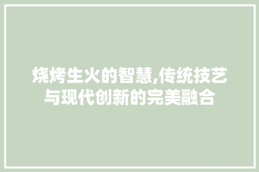 烧烤生火的智慧,传统技艺与现代创新的完美融合 电脑故障维修