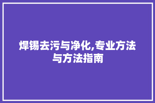 焊锡去污与净化,专业方法与方法指南 编程语言
