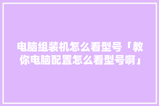 电脑组装机怎么看型号「教你电脑配置怎么看型号啊」 电脑组装机怎么看型号「教你电脑配置怎么看型号啊」 编程语言