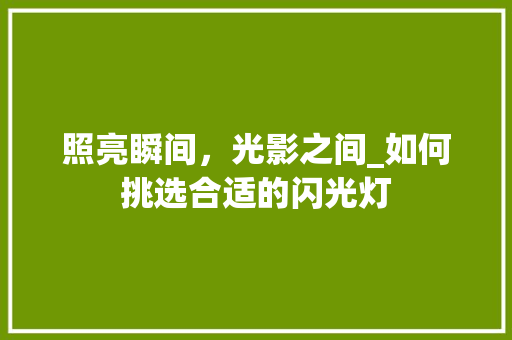 照亮瞬间，光影之间_如何挑选合适的闪光灯 编程语言