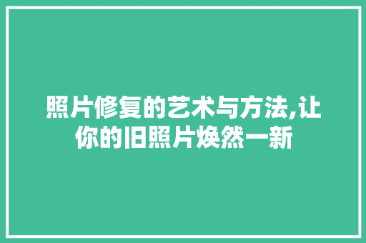 照片修复的艺术与方法,让你的旧照片焕然一新 电脑基础