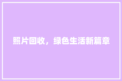 照片回收,绿色生活新篇章 编程语言 照片回收,绿色生活新篇章 编程语言