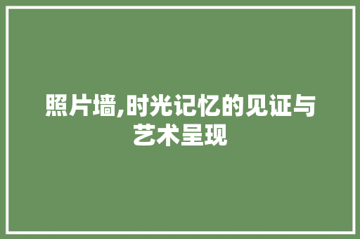 照片墙,时光记忆的见证与艺术呈现 网络技术
