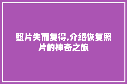 照片失而复得,介绍恢复照片的神奇之旅 电脑故障维修