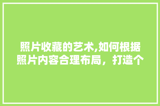 照片收藏的艺术,如何根据照片内容合理布局，打造个人记忆的宝库 电脑基础