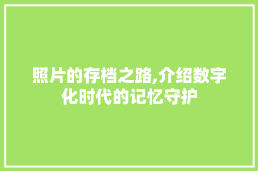 照片的存档之路,介绍数字化时代的记忆守护 电脑故障维修