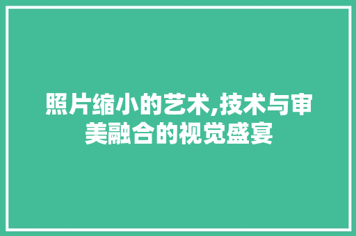 照片缩小的艺术,技术与审美融合的视觉盛宴 电脑基础