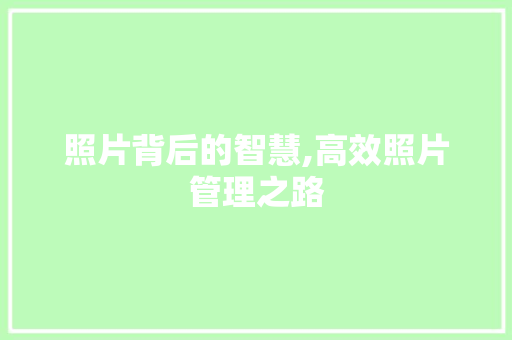 照片背后的智慧,高效照片管理之路 操作系统