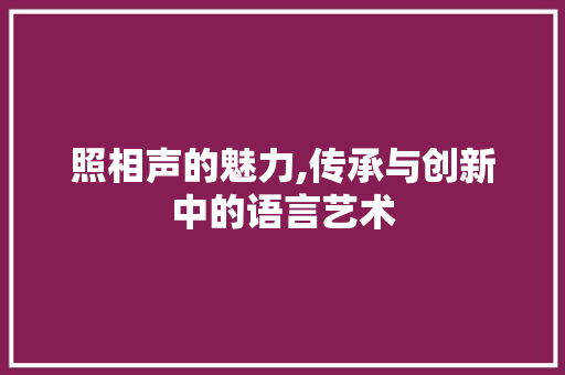 照相声的魅力,传承与创新中的语言艺术 电脑故障维修 照相声的魅力,传承与创新中的语言艺术 电脑故障维修